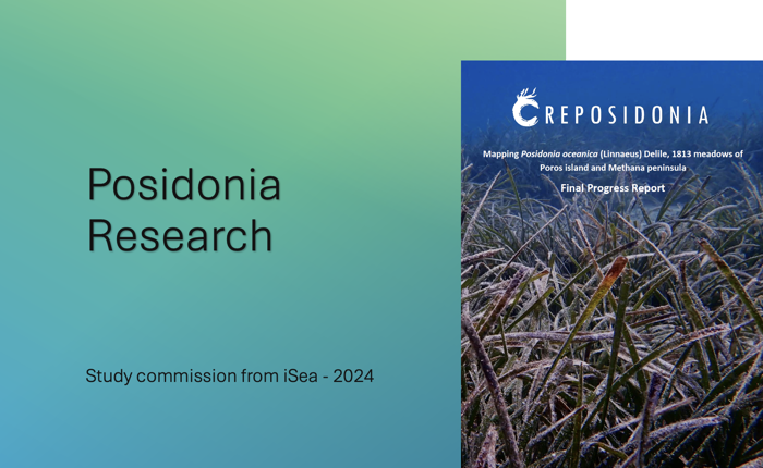Mapping Posidonia Meadows on Poros Island and Methana Peninsula (2024)