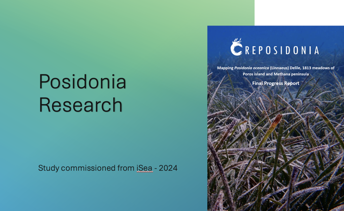 Mapping Posidonia Meadows on Poros Island and Methana Peninsula (2024)